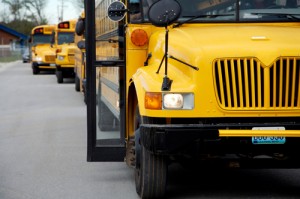 Federal Officials Endorse Seat Belts on School Buses Image