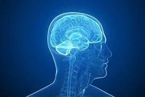 brain x-ray