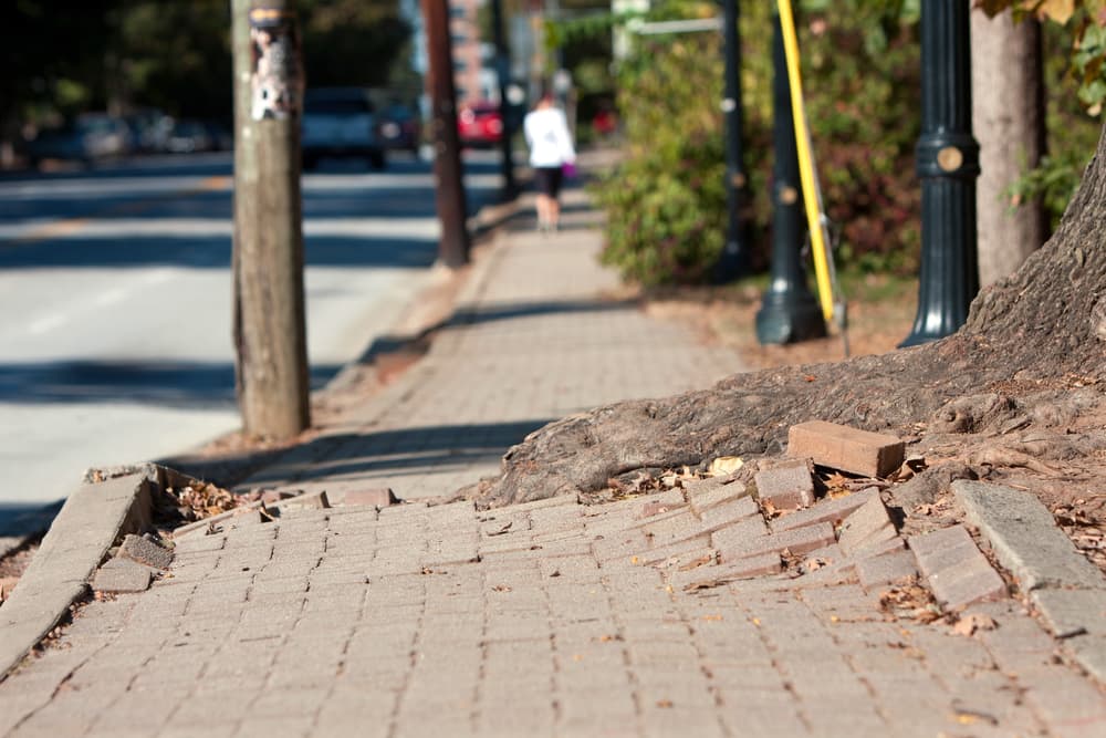 Cracked Sidewalks