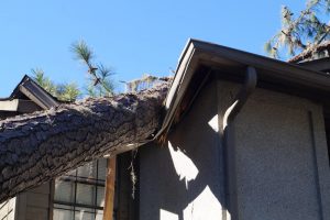 Do I Have a Case if There Was Only Property Damage?