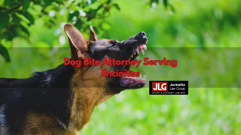 Dog Bite Attorney Serving Encinitas