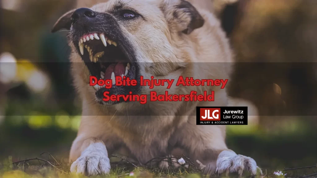 Dog Bite Injury Attorney Serving Bakersfield