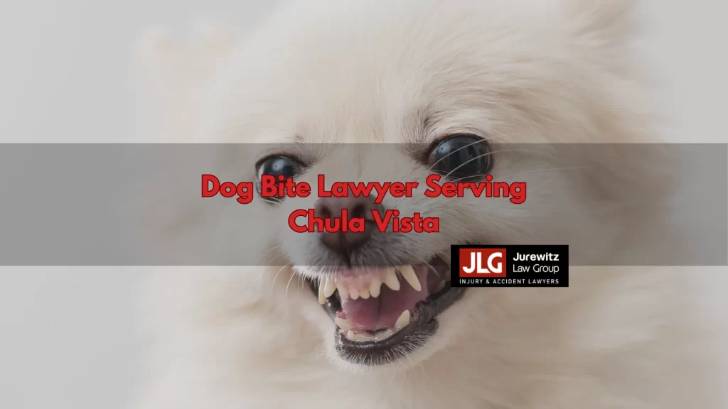Dog Bite Lawyer Serving Chula Vista