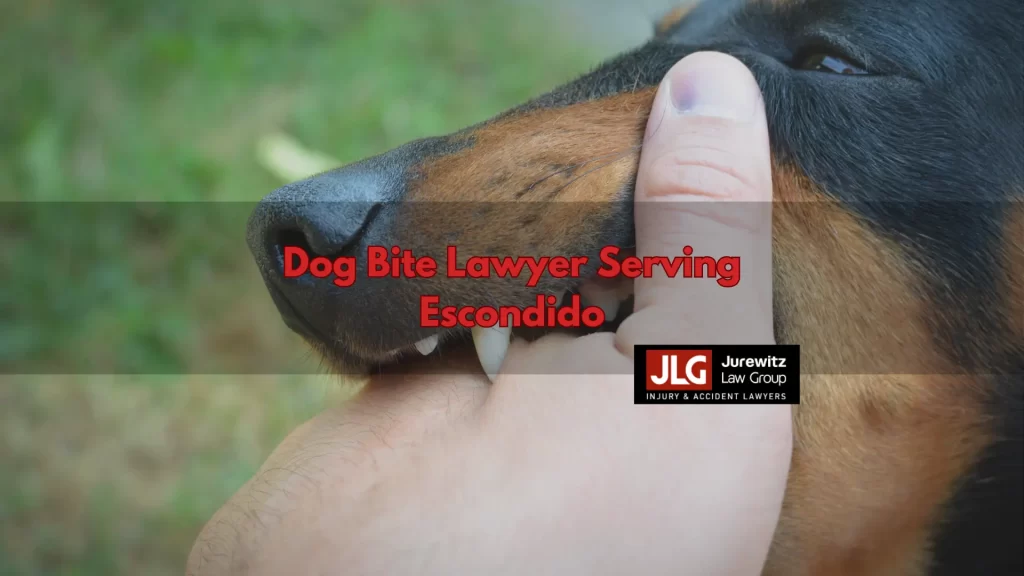 Dog Bite Lawyer Serving Escondido