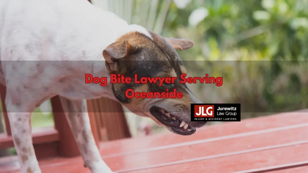 Dog Bite Lawyer Serving Oceanside