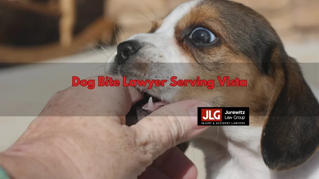 Dog Bite Lawyer Serving Vista