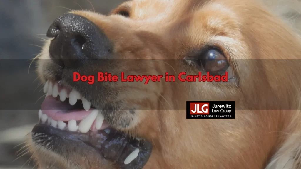 Dog Bite Lawyer in Carlsbad