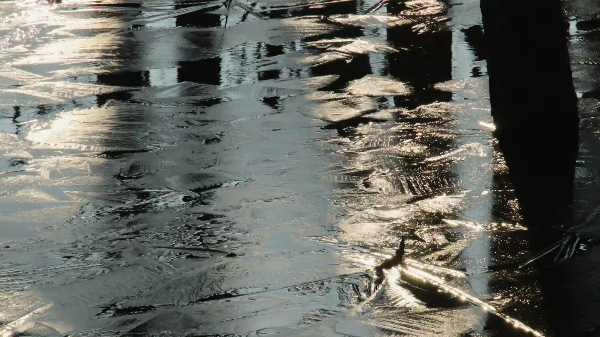 The Hidden Dangers of Black Ice and Tampa, Florida Car Accidents Image