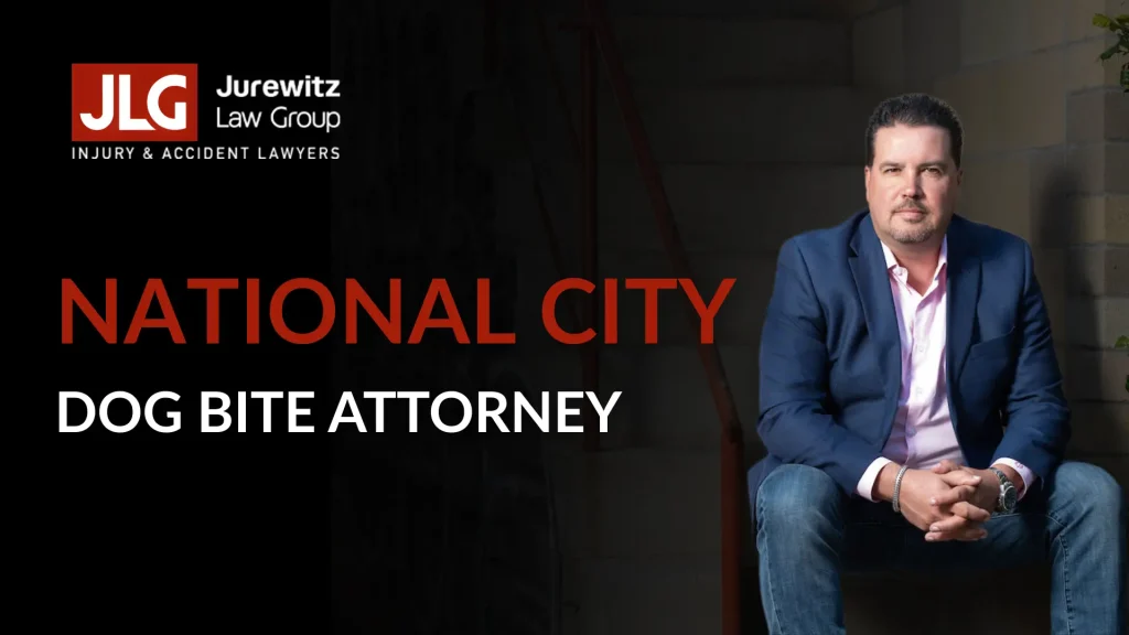Dog Bite Attorney