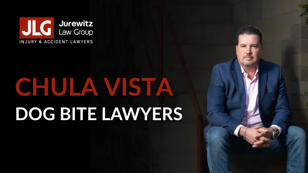 Dog Bite Lawyers