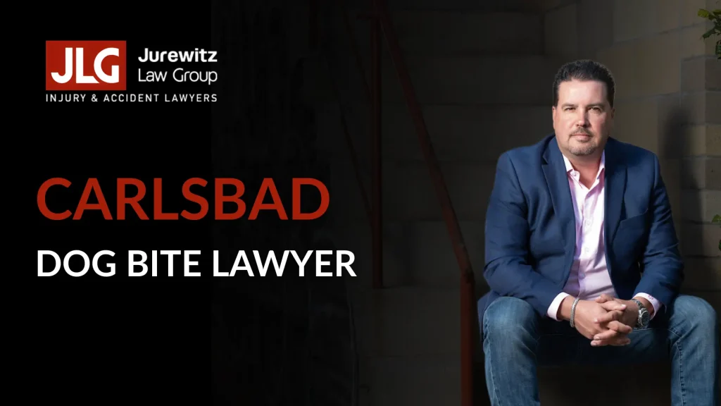 Dog Bite Lawyer